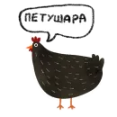 Черная курица