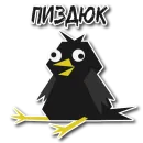 Стикер Дрозд Мерл