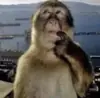 Стикер GBTS