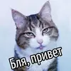 Ну Бля