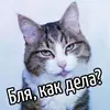 Стикер Ну Бля