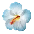 Стикер Blue mixed