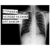 Стикер Доказательство по телу
