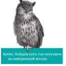 Стикер Bookshelf Memes