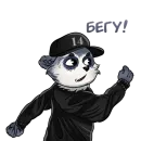 Стикер ENOT#14