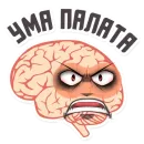 Стикер МОЗГ