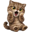 Коричневый котик