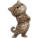 Стикер Коричневый котик