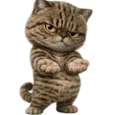 Стикер Коричневый котик