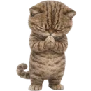 Стикер Коричневый котик