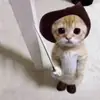 Стикер Cats