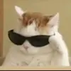 Стикер Cats