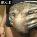 Be a wolf
