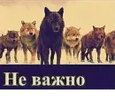Стикер Be a wolf