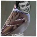 Бухой Зайчик