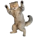 Стикер Busya Memes