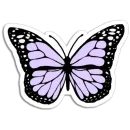 Стикер Butterfly ਤਿਤਲੀ