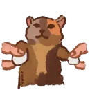 Стикер Чипи чапа руви