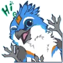 CLICK the sprouty jay