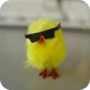 ЦЫПЫ