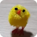 Стикер ЦЫПЫ
