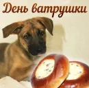 Стикер С днем ...