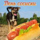 Стикер С днем ...