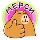 Стикер Капибара клипер