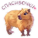 Стикер Карбонара