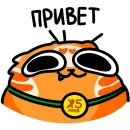 Рыжий кот Кешбэкс