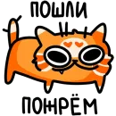Стикер Рыжий кот Кешбэкс