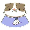 CatFlix