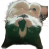 Стикер Catonios