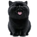 Стикер Угрюмый кот
