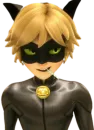 Cat Noir - Miraculous :