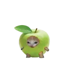 Котики предметы