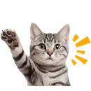 Кошачий отряд