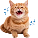 Стикер Кошачий отряд