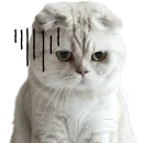 Стикер Кошачий отряд