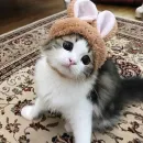 Стикер Ꮶᴏᴛиᴋи
