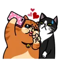 Стикер fun cat