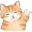 Котики