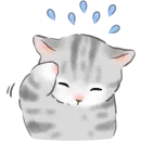 Стикер Котики