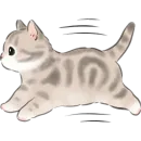 Стикер Котики