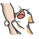 Стикер Cat