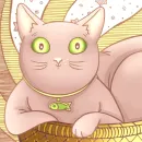 Стикер Cats