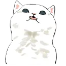 Кошачий чат 2
