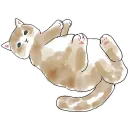 Стикер Кошачий чат 2