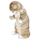 Стикер Кошачий чат 2
