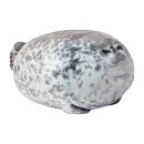 Seals